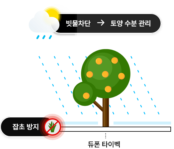 듀폰 타이벡 설치로 빗물차단으로 토양 수분 관리 및 잡초 방지