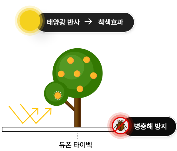 듀폰 타이벡 설치로 태양광 반사로 착색효과 및 병충해 방지